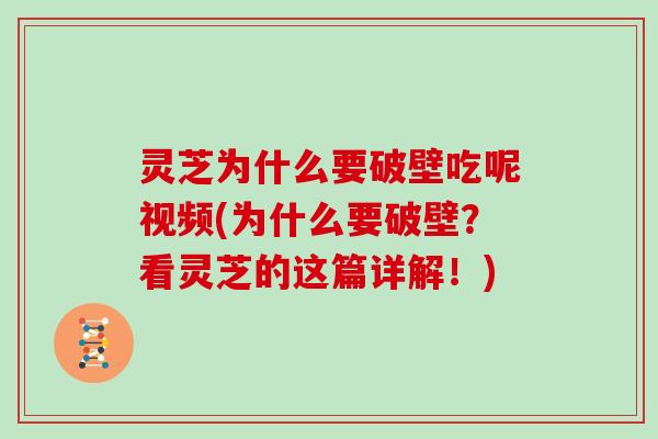 灵芝为什么要破壁吃呢视频(为什么要破壁？看灵芝的这篇详解！)