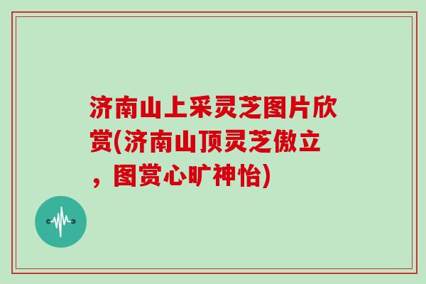 济南山上采灵芝图片欣赏(济南山顶灵芝傲立，图赏心旷神怡)