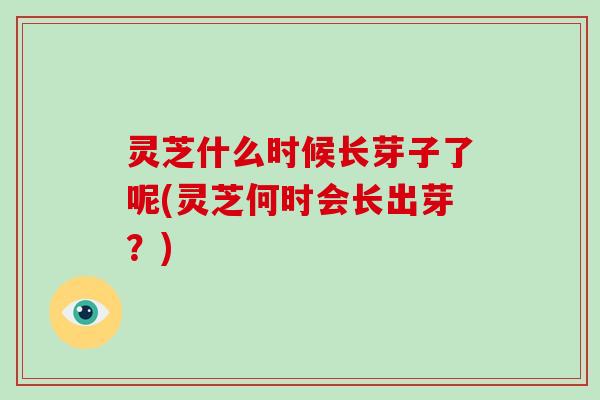 灵芝什么时候长芽子了呢(灵芝何时会长出芽？)