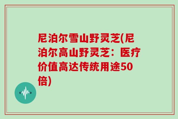 尼泊尔雪山野灵芝(尼泊尔高山野灵芝：医疗价值高达传统用途50倍)