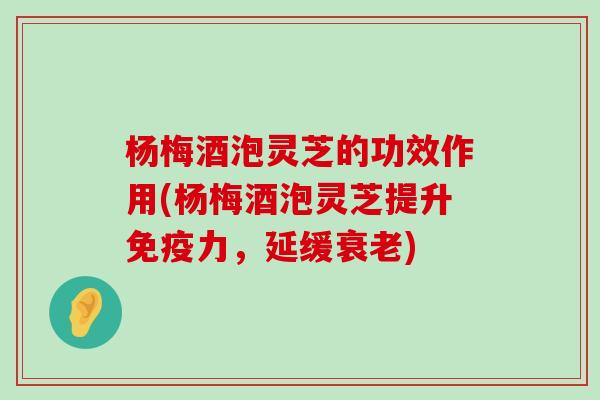 杨梅酒泡灵芝的功效作用(杨梅酒泡灵芝提升免疫力，延缓)