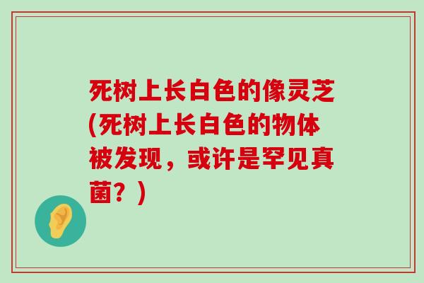 死树上长白色的像灵芝(死树上长白色的物体被发现，或许是罕见真菌？)