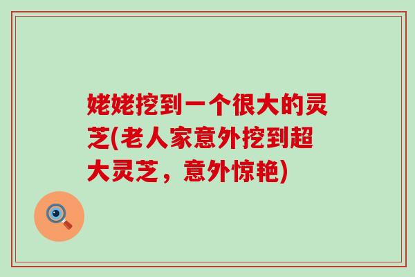 姥姥挖到一个很大的灵芝(老人家意外挖到超大灵芝，意外惊艳)