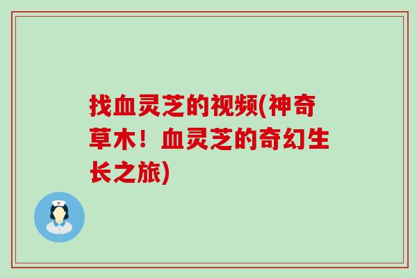 找灵芝的视频(神奇草木！灵芝的奇幻生长之旅)