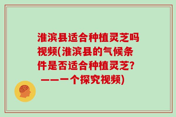 淮滨县适合种植灵芝吗视频(淮滨县的气候条件是否适合种植灵芝？ ——一个探究视频)