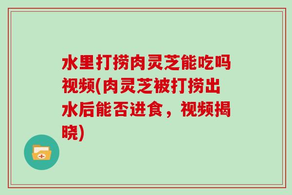 水里打捞肉灵芝能吃吗视频(肉灵芝被打捞出水后能否进食，视频揭晓)