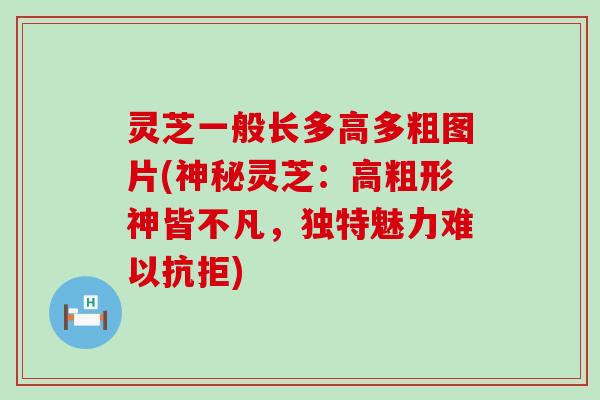 灵芝一般长多高多粗图片(神秘灵芝：高粗形神皆不凡，独特魅力难以抗拒)