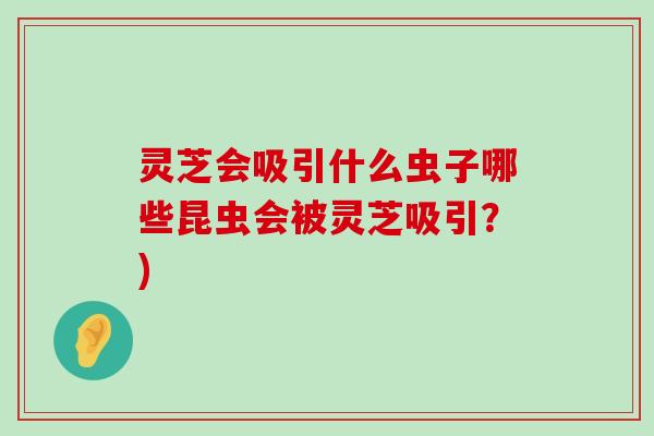 灵芝会吸引什么虫子哪些昆虫会被灵芝吸引？)