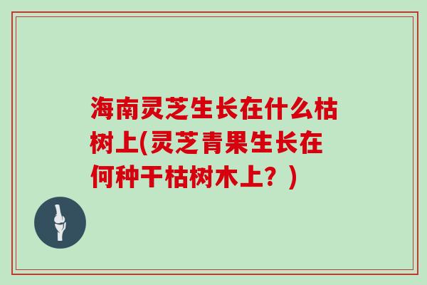 海南灵芝生长在什么枯树上(灵芝青果生长在何种干枯树木上？)