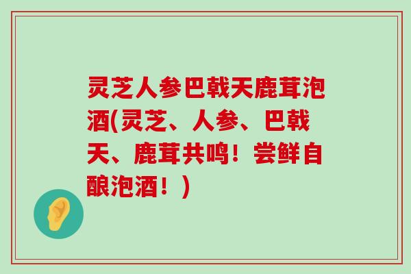 灵芝人参巴戟天鹿茸泡酒(灵芝、人参、巴戟天、鹿茸共鸣！尝鲜自酿泡酒！)