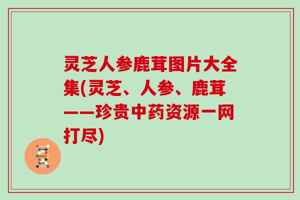 灵芝人参鹿茸图片大全集(灵芝、人参、鹿茸——珍贵资源一网打尽)