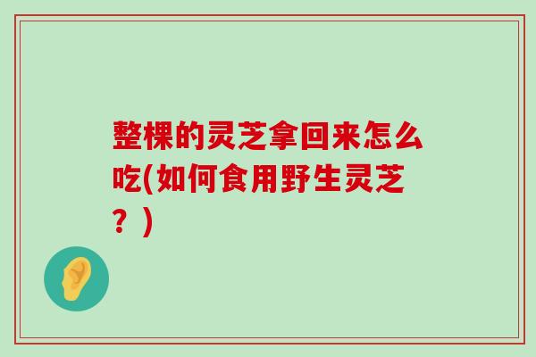 整棵的灵芝拿回来怎么吃(如何食用野生灵芝？)