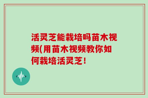 活灵芝能栽培吗苗木视频(用苗木视频教你如何栽培活灵芝！