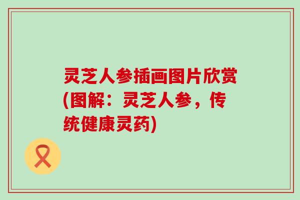 灵芝人参插画图片欣赏(图解：灵芝人参，传统健康灵药)