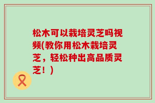 松木可以栽培灵芝吗视频(教你用松木栽培灵芝，轻松种出高品质灵芝！)