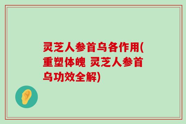 灵芝人参首乌各作用(重塑体魄 灵芝人参首乌功效全解)