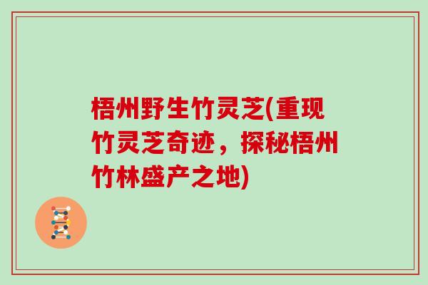 梧州野生竹灵芝(重现竹灵芝奇迹，探秘梧州竹林盛产之地)