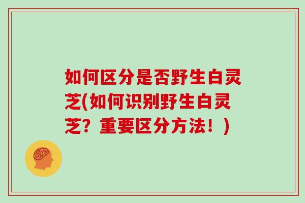 如何区分是否野生白灵芝(如何识别野生白灵芝？重要区分方法！)