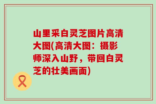 山里采白灵芝图片高清大图(高清大图：摄影师深入山野，带回白灵芝的壮美画面)