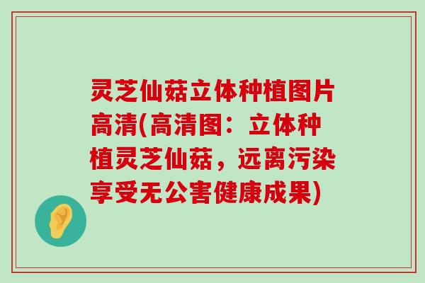 灵芝仙菇立体种植图片高清(高清图：立体种植灵芝仙菇，远离污染享受无公害健康成果)