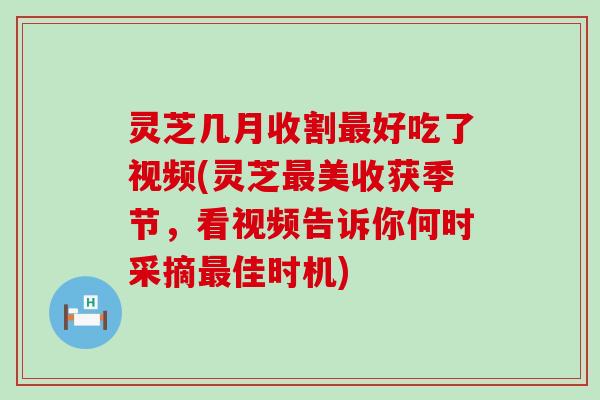 灵芝几月收割好吃了视频(灵芝美收获季节，看视频告诉你何时采摘佳时机)