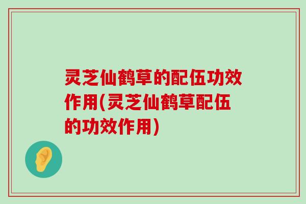 灵芝仙鹤草的配伍功效作用(灵芝仙鹤草配伍的功效作用)