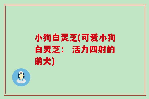 小狗白灵芝(可爱小狗白灵芝： 活力四射的萌犬)