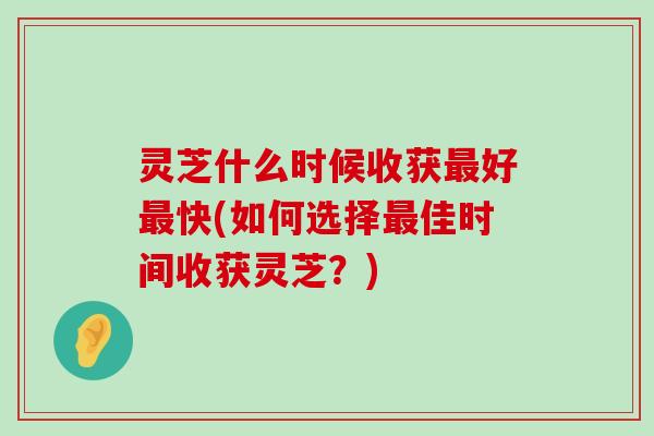 灵芝什么时候收获好快(如何选择佳时间收获灵芝？)