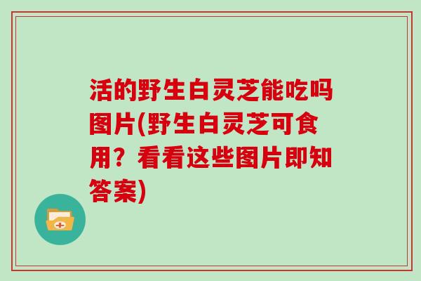 活的野生白灵芝能吃吗图片(野生白灵芝可食用？看看这些图片即知答案)