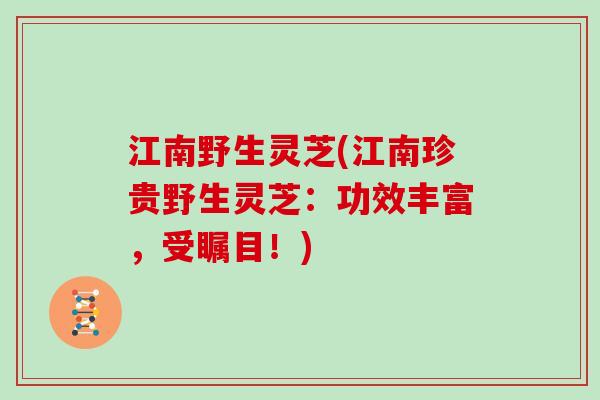 江南野生灵芝(江南珍贵野生灵芝：功效丰富，受瞩目！)