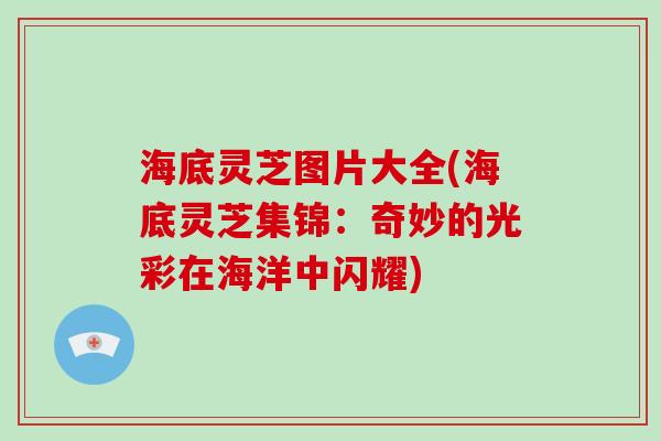 海底灵芝图片大全(海底灵芝集锦：奇妙的光彩在海洋中闪耀)