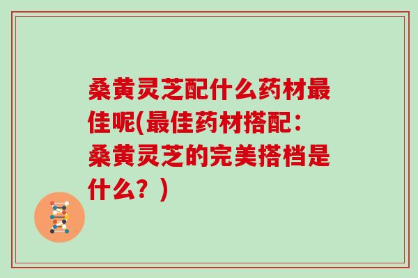 桑黄灵芝配什么药材佳呢(佳药材搭配：桑黄灵芝的完美搭档是什么？)