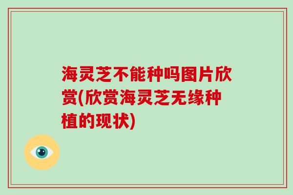 海灵芝不能种吗图片欣赏(欣赏海灵芝无缘种植的现状)