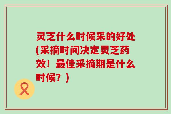 灵芝什么时候采的好处(采摘时间决定灵芝！佳采摘期是什么时候？)