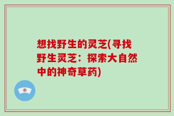 想找野生的灵芝(寻找野生灵芝：探索大自然中的神奇草药)