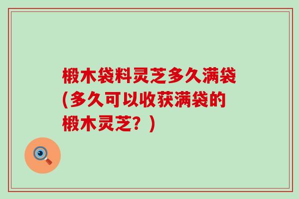 椴木袋料灵芝多久满袋(多久可以收获满袋的椴木灵芝？)