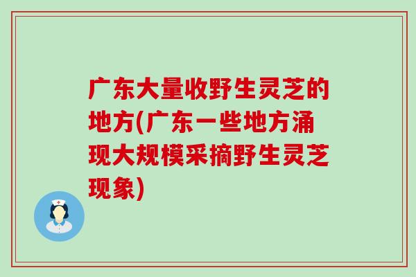 广东大量收野生灵芝的地方(广东一些地方涌现大规模采摘野生灵芝现象)