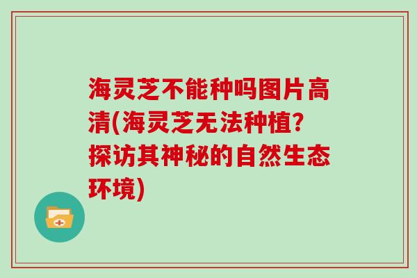 海灵芝不能种吗图片高清(海灵芝无法种植？探访其神秘的自然生态环境)