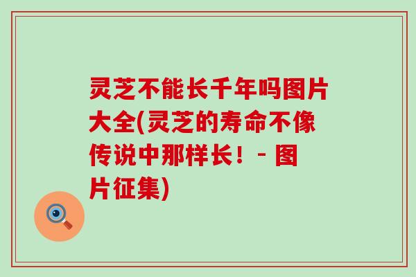 灵芝不能长千年吗图片大全(灵芝的寿命不像传说中那样长！- 图片征集)