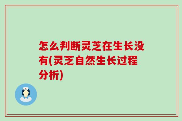 怎么判断灵芝在生长没有(灵芝自然生长过程分析)