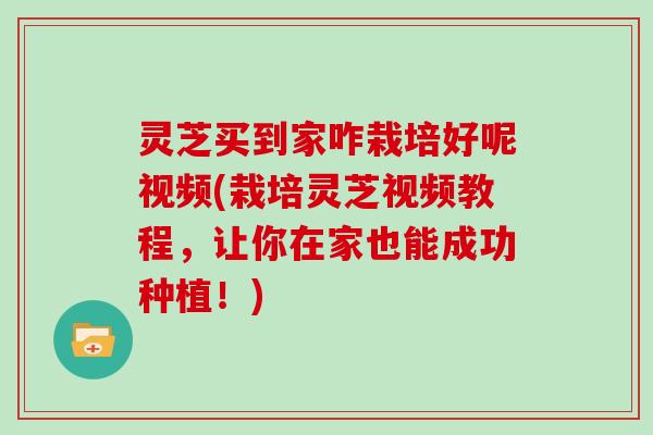 灵芝买到家咋栽培好呢视频(栽培灵芝视频教程，让你在家也能成功种植！)