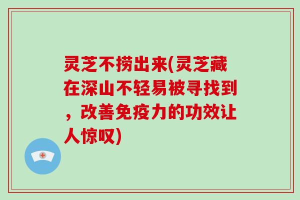 灵芝不捞出来(灵芝藏在深山不轻易被寻找到，改善免疫力的功效让人惊叹)