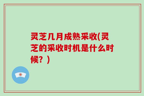 灵芝几月成熟采收(灵芝的采收时机是什么时候？)