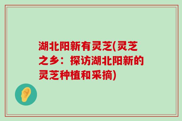 湖北阳新有灵芝(灵芝之乡：探访湖北阳新的灵芝种植和采摘)