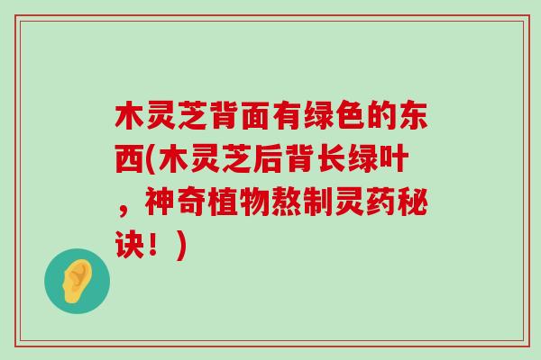 木灵芝背面有绿色的东西(木灵芝后背长绿叶，神奇植物熬制灵药秘诀！)