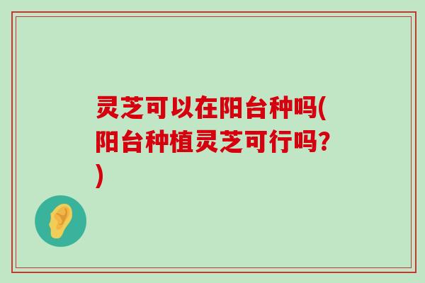 灵芝可以在阳台种吗(阳台种植灵芝可行吗？)