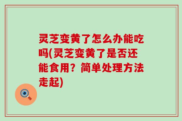 灵芝变黄了怎么办能吃吗(灵芝变黄了是否还能食用？简单处理方法走起)