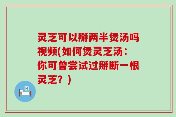 灵芝可以掰两半煲汤吗视频(如何煲灵芝汤：你可曾尝试过掰断一根灵芝？)