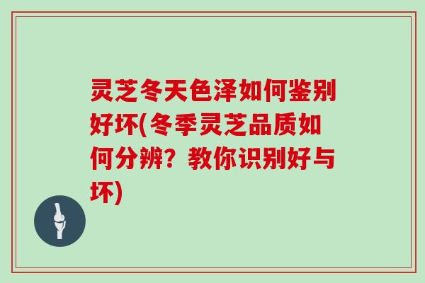 灵芝冬天色泽如何鉴别好坏(冬季灵芝品质如何分辨？教你识别好与坏)