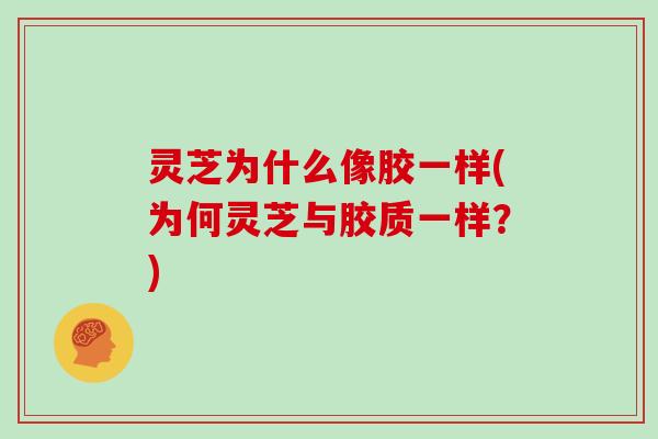 灵芝为什么像胶一样(为何灵芝与胶质一样？)